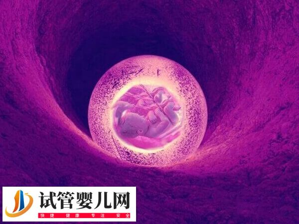 基础卵泡少试管成功案例有哪些(图1)