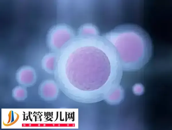 卵泡破裂会不会肚子疼