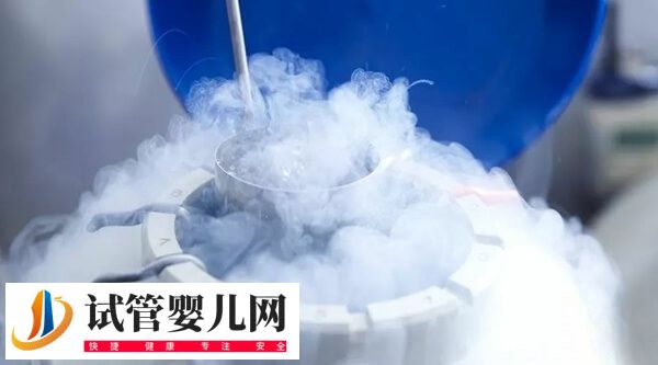 胚胎解冻移植内膜准备方案怎么选择