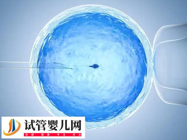 试管婴儿一次成功率有多大
