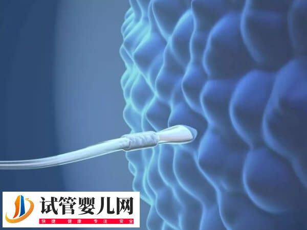 fsh促卵泡素高于20能不能做试管(图2) fsh促卵泡素高于20能不能做试管(图2)