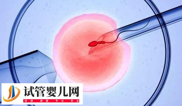 卵泡发育不良能不能做试管婴儿(图1)