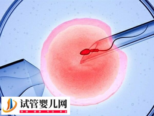 32岁子宫切除后能不能做试管(图1) 32岁子宫切除后能不能做试管(图1)