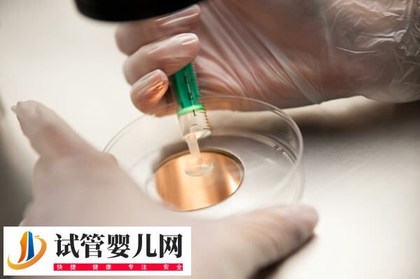 50岁绝经后子宫萎缩能不能做试管婴儿(图1) 50岁绝经后子宫萎缩能不能做试管婴儿(图1)