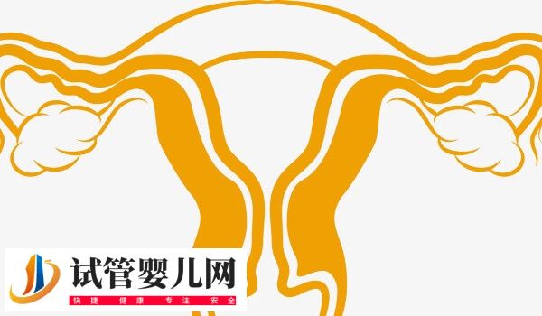 50岁绝经后子宫萎缩能不能做试管婴儿(图2) 50岁绝经后子宫萎缩能不能做试管婴儿(图2)