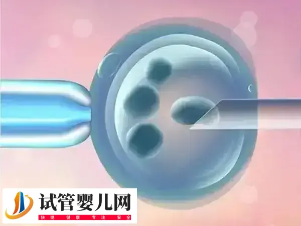 多次生化妊娠能不能做试管婴儿(图1) 多次生化妊娠能不能做试管婴儿(图1)