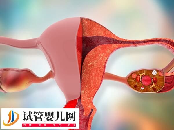 女性卵巢早衰能不能做试管婴儿(图1) 女性卵巢早衰能不能做试管婴儿(图1)