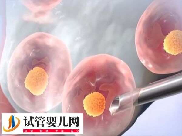 试管进入周期到移植鲜胚的过程是怎样的(图1)
