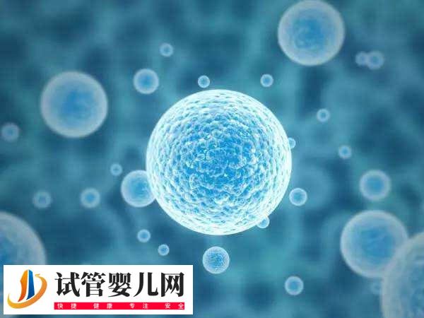 隔了3天卵泡才长了1mm正不正常(图1)