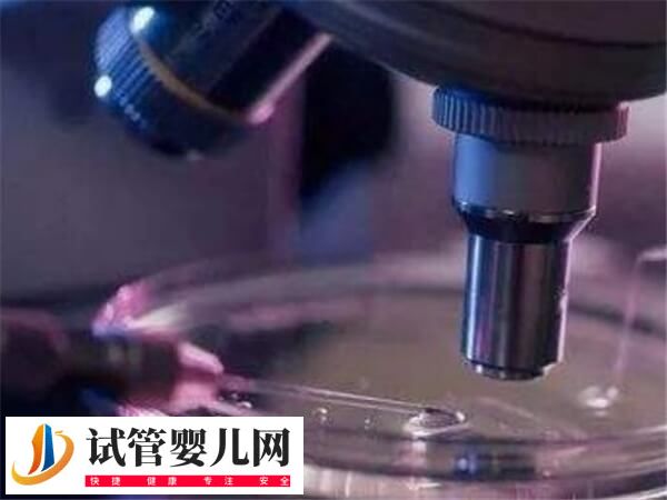 湖南湘潭医院好还是湘雅医院做试管好(图2)