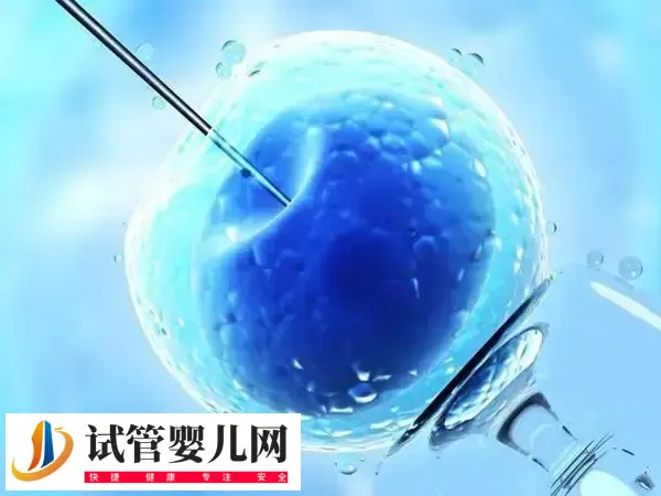 优质囊胚为什么会失败(图1)