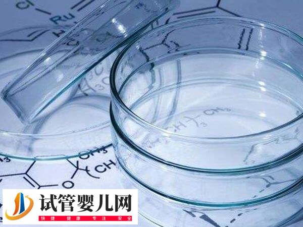 试管养囊的标准是什么(图2)