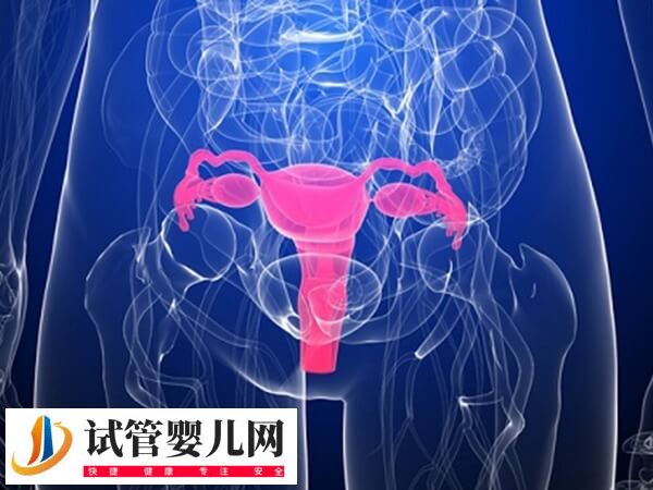 移植优质胚胎为什么不着床(图2)