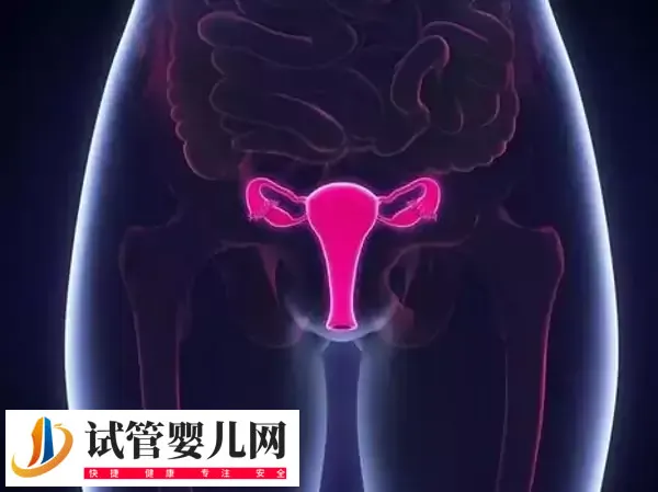 会引起不孕的子宫疾病有哪些(图1)