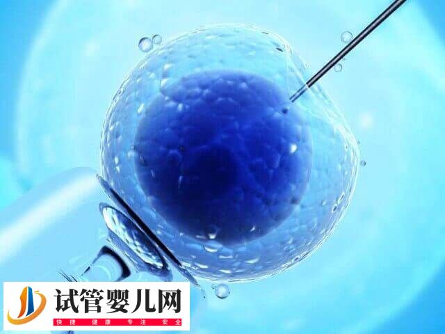 移植冻胚和鲜胚哪个有优势(图1)