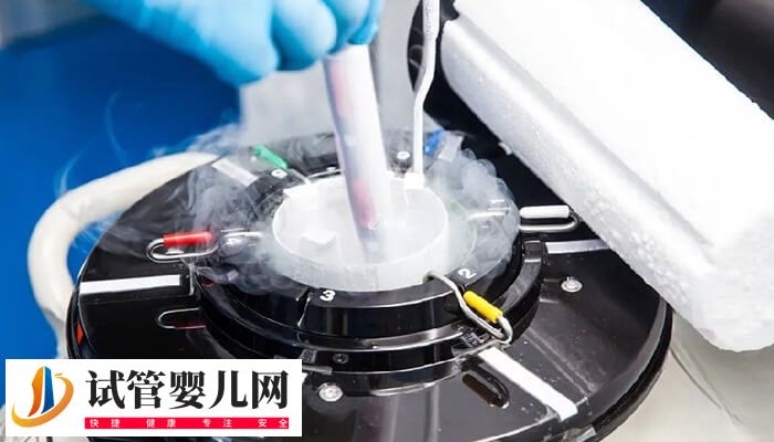 移植冻胚和鲜胚哪个有优势(图2)