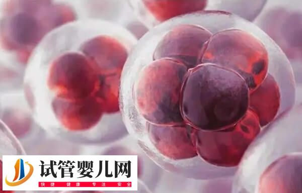 胚胎培养状态的影响因素有哪些