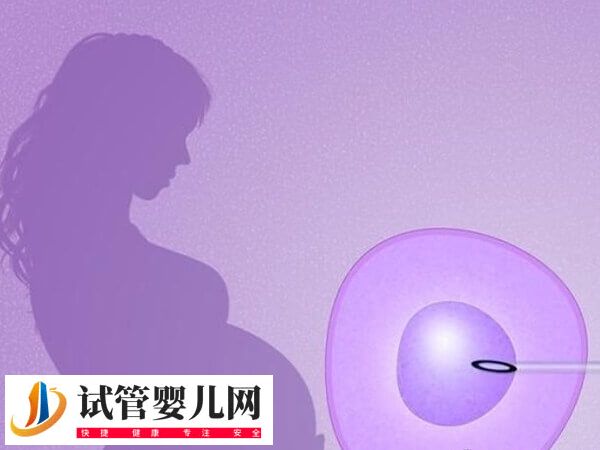 拉拉做试管婴儿前要做好什么准备(图1)