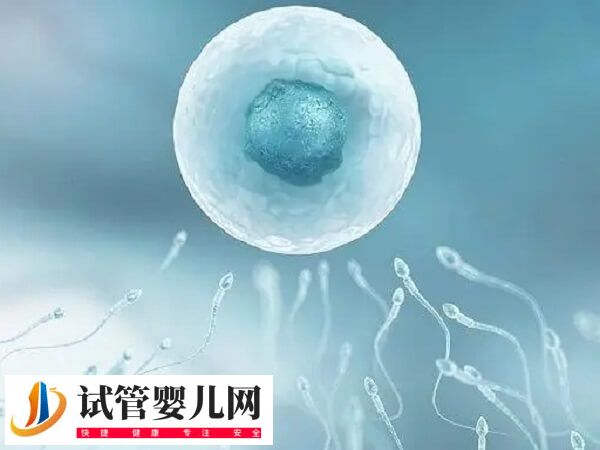 女同性恋怎么要孩子？可以卵卵结合做试管婴儿生吗？(图1)