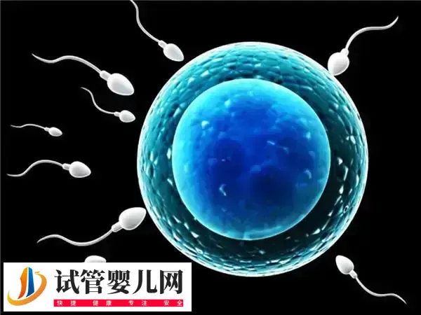 桥本甲状腺炎能不能做试管婴儿(图1)