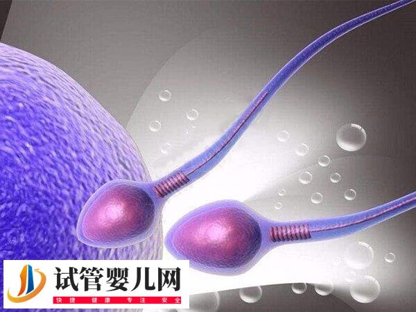 微刺激方案的优势是什么(图1) 微刺激方案的优势是什么(图1)