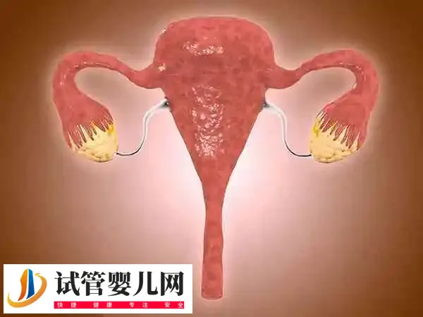 多囊卵巢做试管婴儿成功率多少(图1) 多囊卵巢做试管婴儿成功率多少(图1)