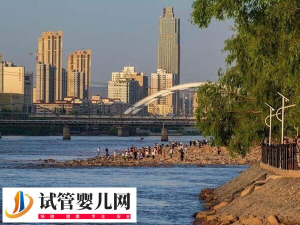 兰州做人工授精的医院有哪些(图1) 兰州做人工授精的医院有哪些(图1)