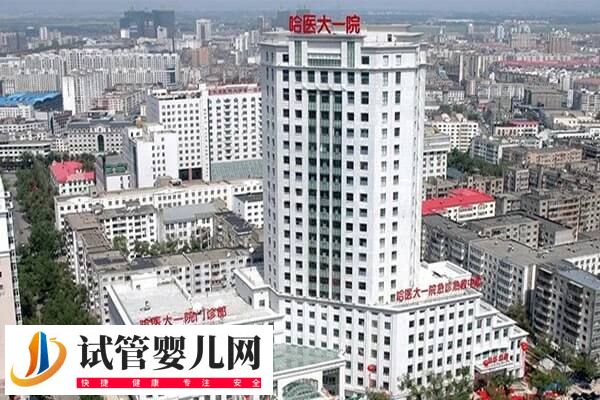 哈医大一院做试管哪个医生好(图1)