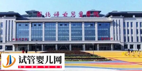 西北妇幼保健院做第三代试管婴儿费用大约多少？(图1)