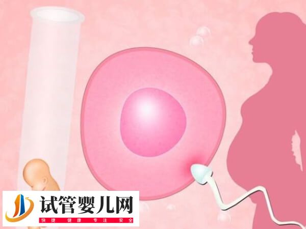 重庆三代试管婴儿试管婴儿多少钱(图1)