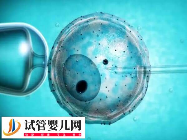 山东大学附属生殖取卵费用多少(图1)