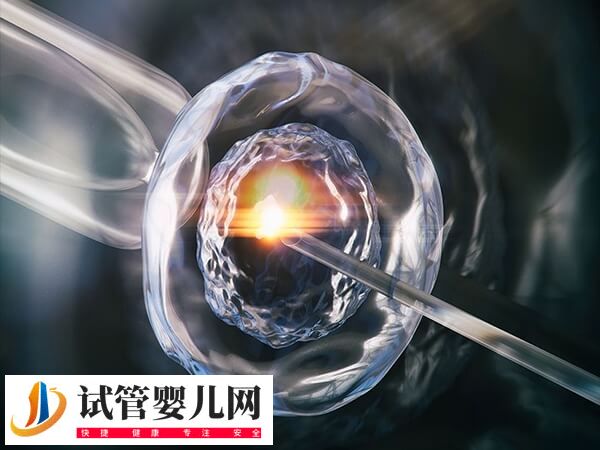 卵巢早衰做试管婴儿成功率(图1) 卵巢早衰做试管婴儿成功率(图1)