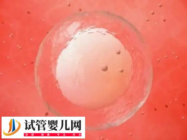 卵巢早衰做试管婴儿成功率(图2) 卵巢早衰做试管婴儿成功率(图2)