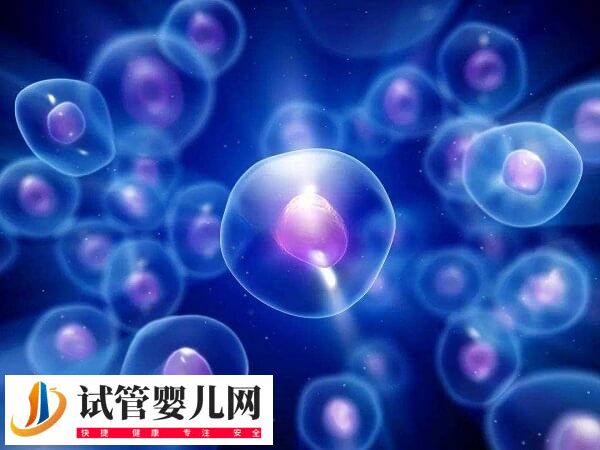 沈阳妇婴医院做试管有哪些流程(图1)