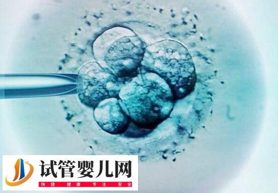 长沙三代试管婴儿费用多少(图1)