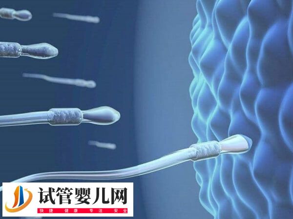 大连人工授精费用多少(图1)