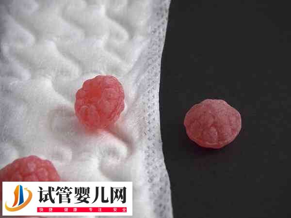 降低试管婴儿妊娠率的疾病有哪些(图1)