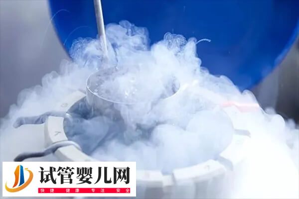 什么情况下会选择冻胚(图2) 什么情况下会选择冻胚(图2)