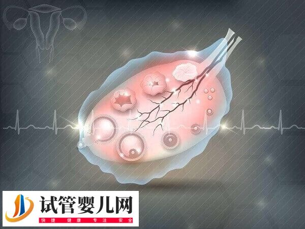 试管婴儿促排出现空卵泡的原因是什么(图1)