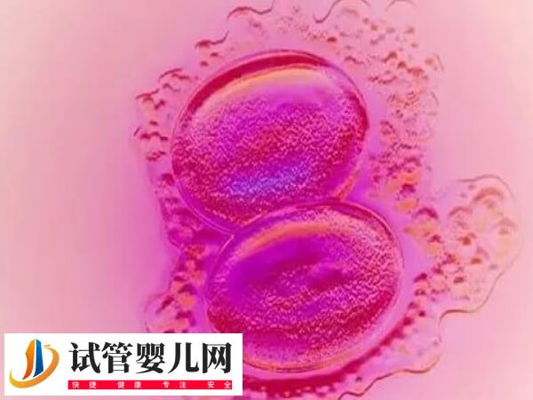 试管移植后生化了是什么原因(图2)