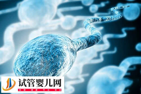 精子库精子生的孩子丑不丑