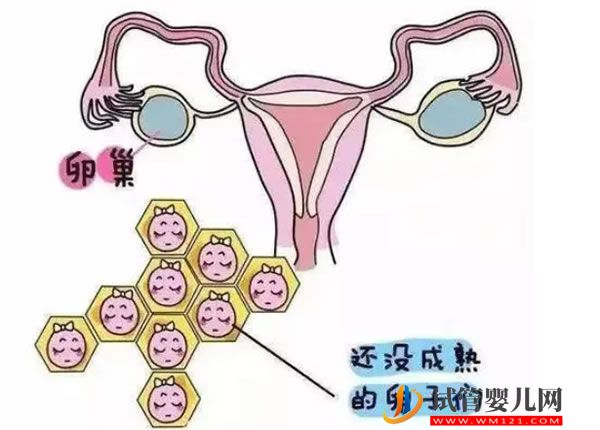 实用经验,看完这些亲身经历,让你的乌克兰试管婴儿之旅更顺畅 (图2)