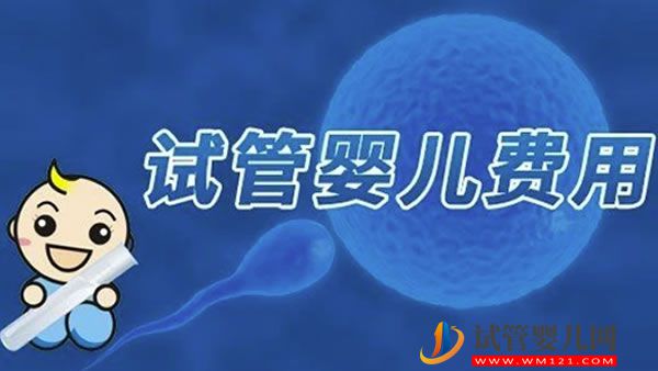 通过中介去美国生小孩会不会吃亏(图1)