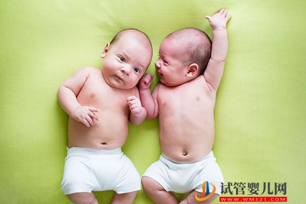 试管之窗 2cc是什么(图1)
