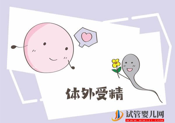 做试管的你要知道促性腺激素，释放激素是什么意思！(图6)