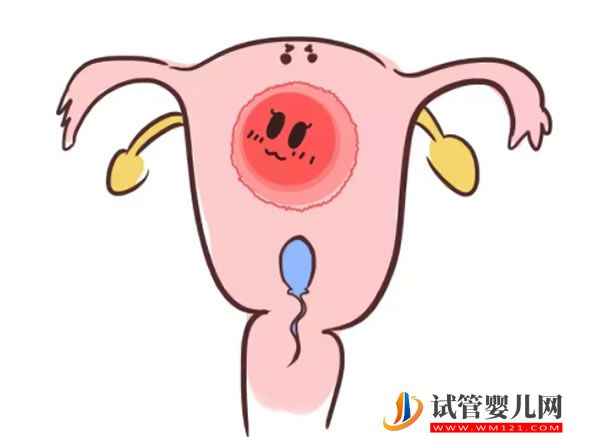 三年试管婴儿老司机，当妈一百天了！说些真心话，告诉你我的体会(图5)