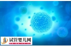 4bc囊胚移植成功率高不高