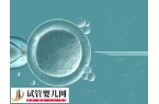 试管取卵能保存多久