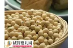 雌性激素多的食物有哪些