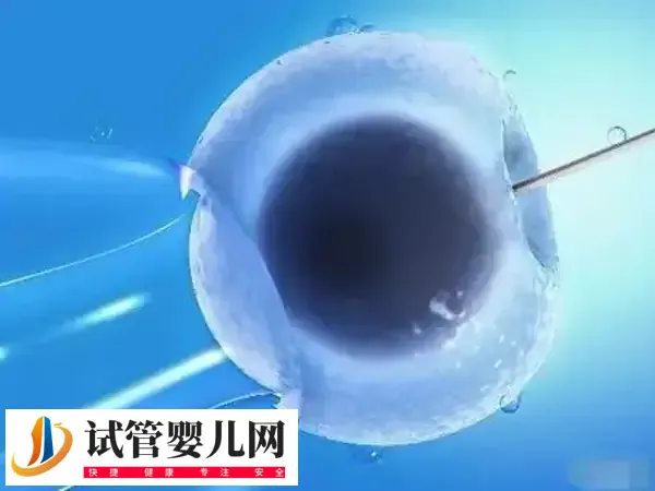 江苏妇幼院保健院做试管婴儿流程是怎么样的(图1) 江苏妇幼院保健院做试管婴儿流程是怎么样的(图1)